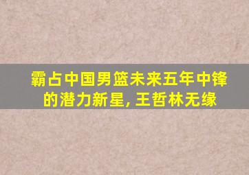 霸占中国男篮未来五年中锋的潜力新星, 王哲林无缘